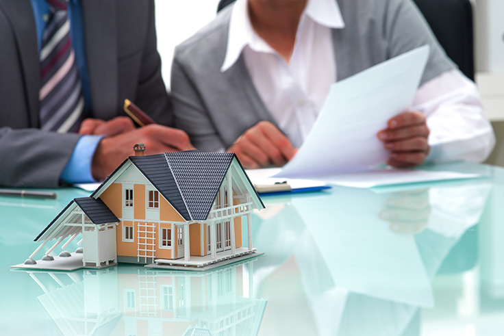 Real Estate consultants lcheking documents